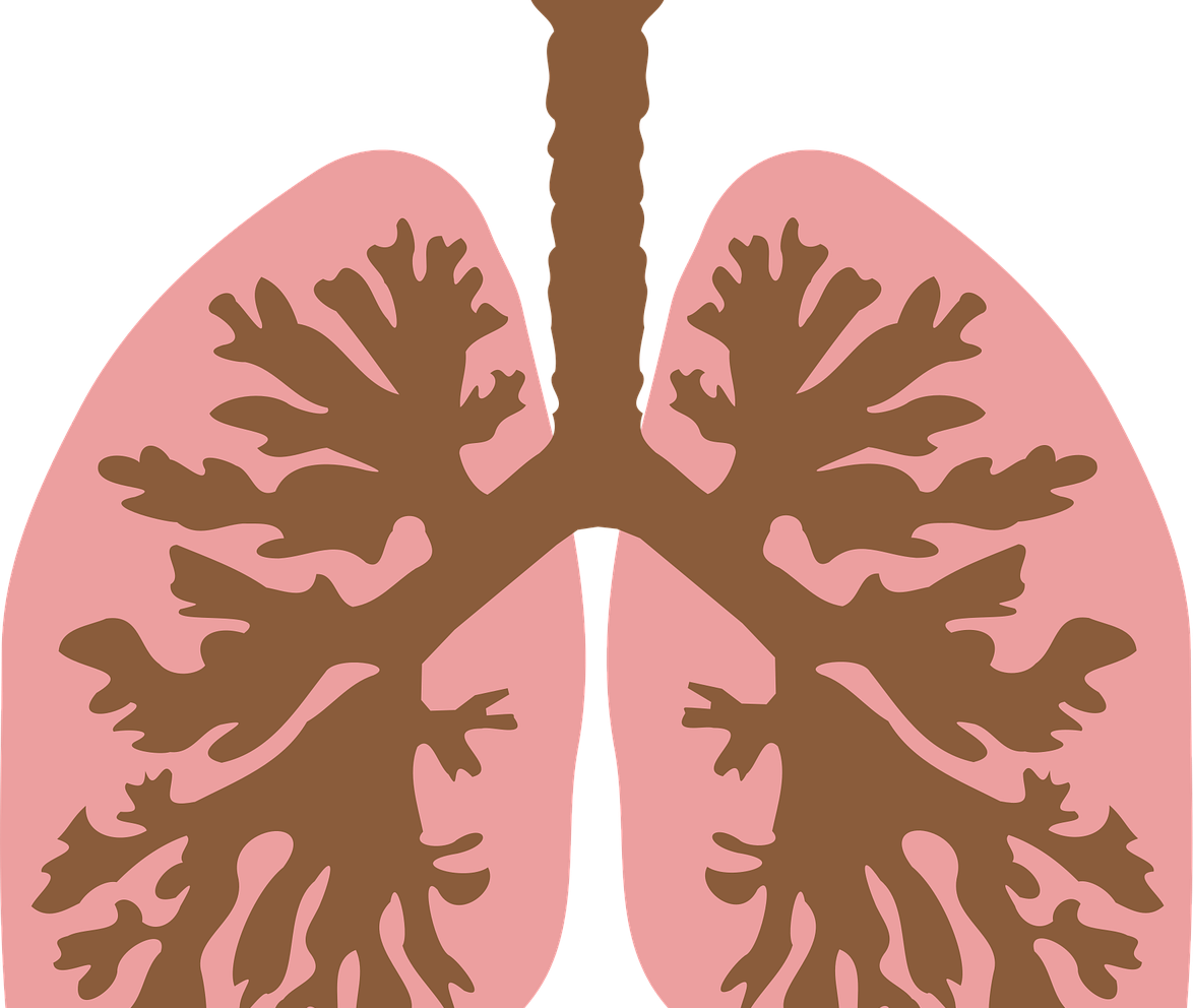BIOLOGY FOR SENIOR SECONDARY SCHOOL 1 (SSS 1)