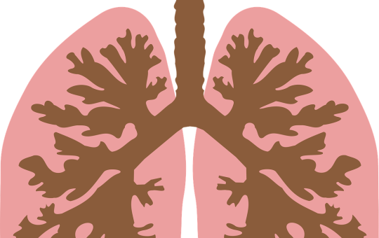 ss1_biology