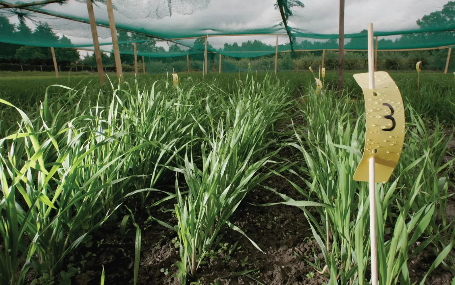 AGRICULTURE FOR SENIOR SECONDARY SCHOOL 1 (SSS 1)